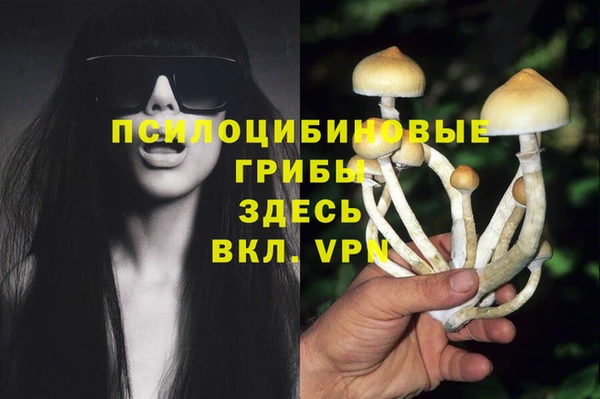 соль курить ск Алзамай