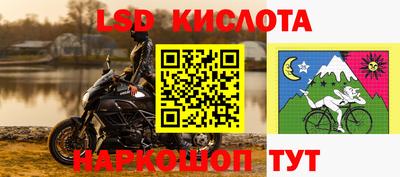 гидра Лесосибирск