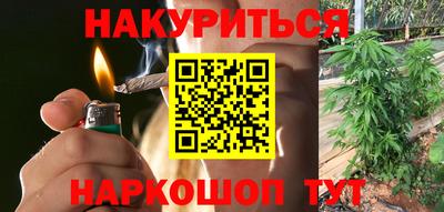 гидра Лесосибирск