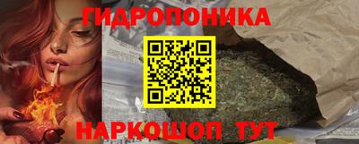 гидра Лесосибирск