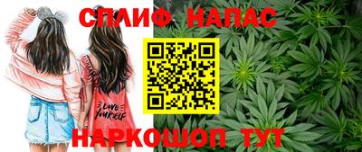 гидра Лесосибирск