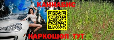 гидра Лесосибирск