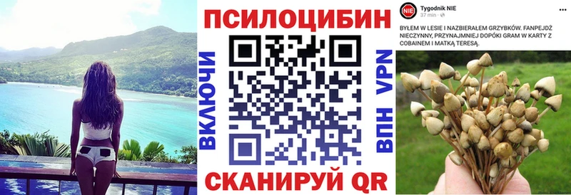 Галлюциногенные грибы Cubensis  Донецк 